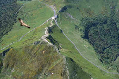 Le Puy Mary Vu du ciel ( en parapente en compagnie d’un vautour)